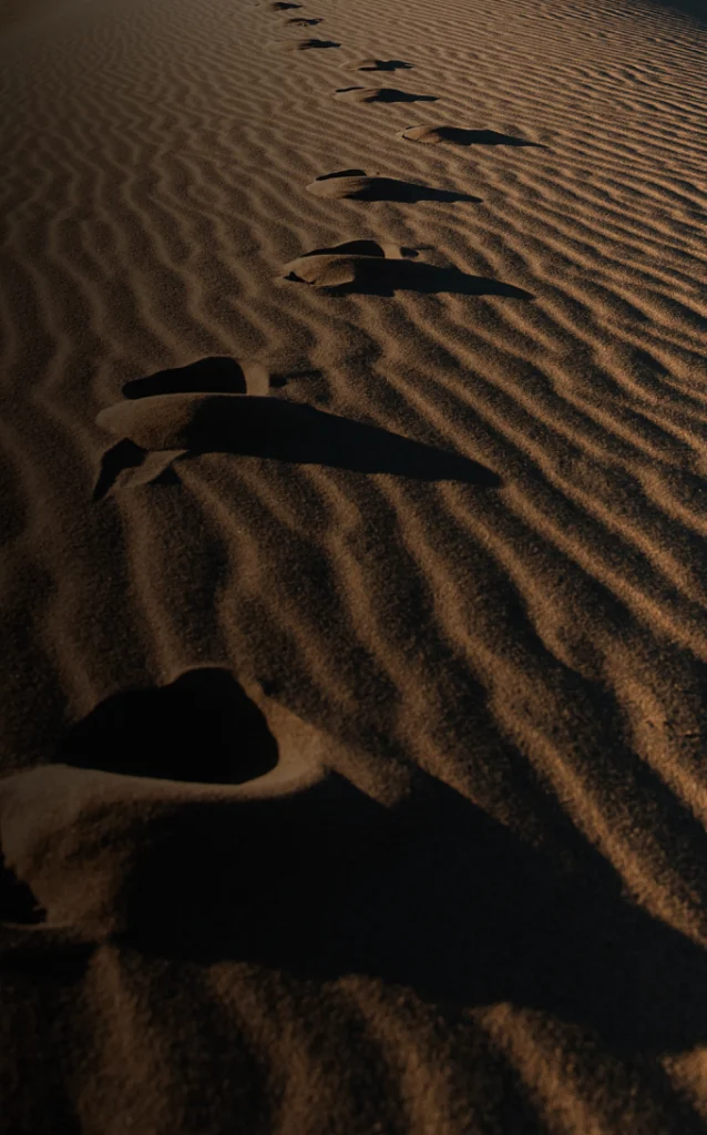 desert in saudi arabia ESG 