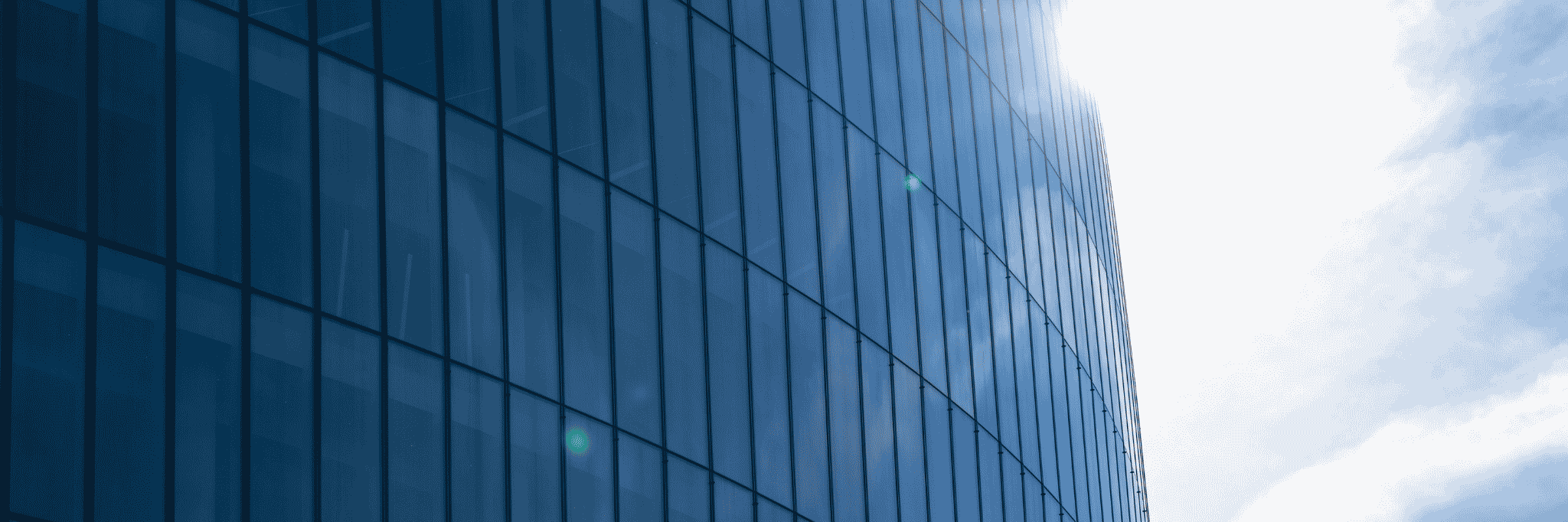 Fractional ESG Services by Ecoryx