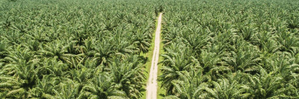 GHG Protocol Launched First Global Land Sector Emissions Ecoryx