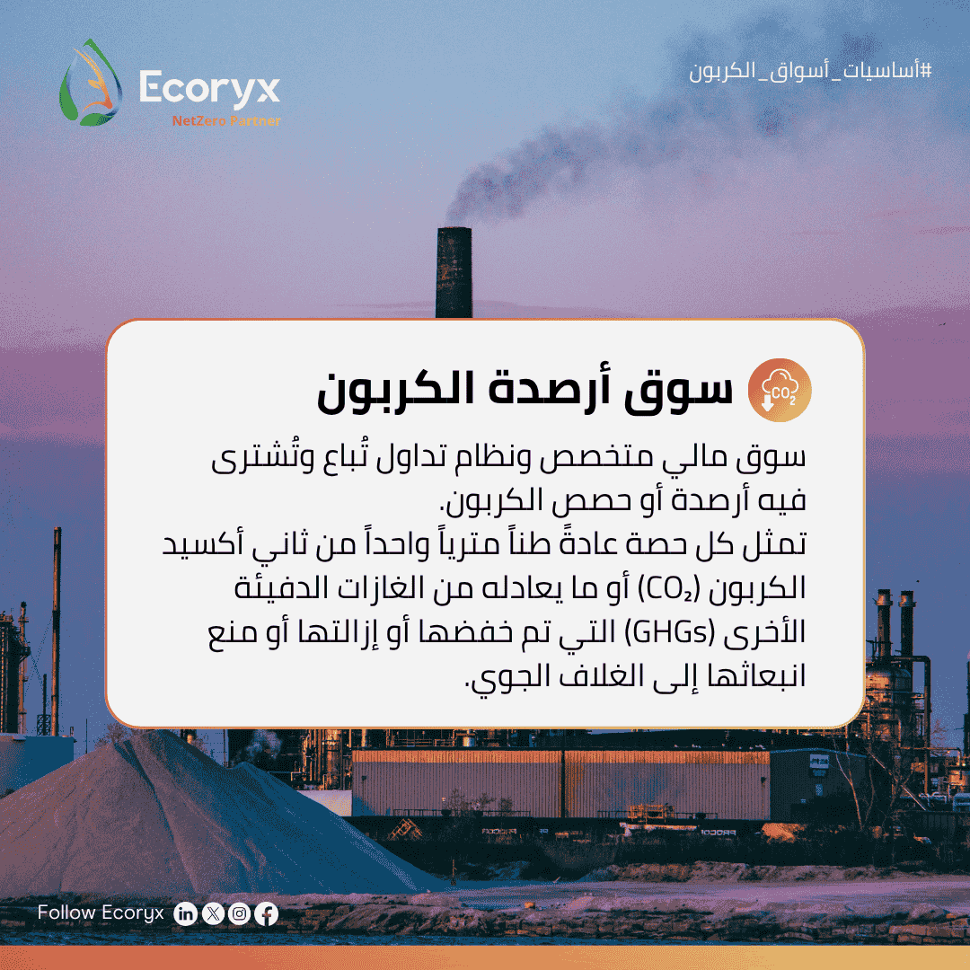 What is a Carbon Market